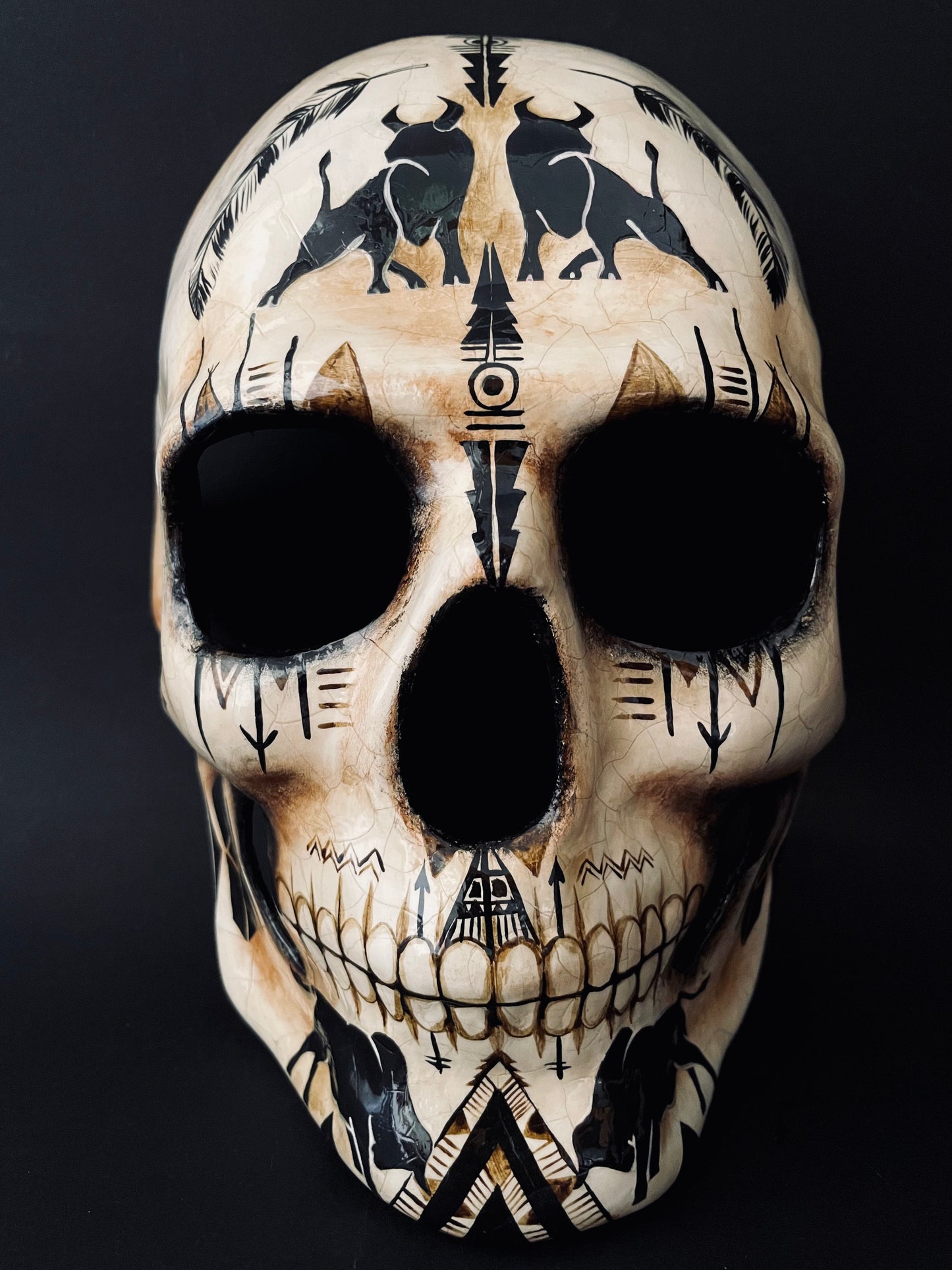Native American skull. Skull with bulls.