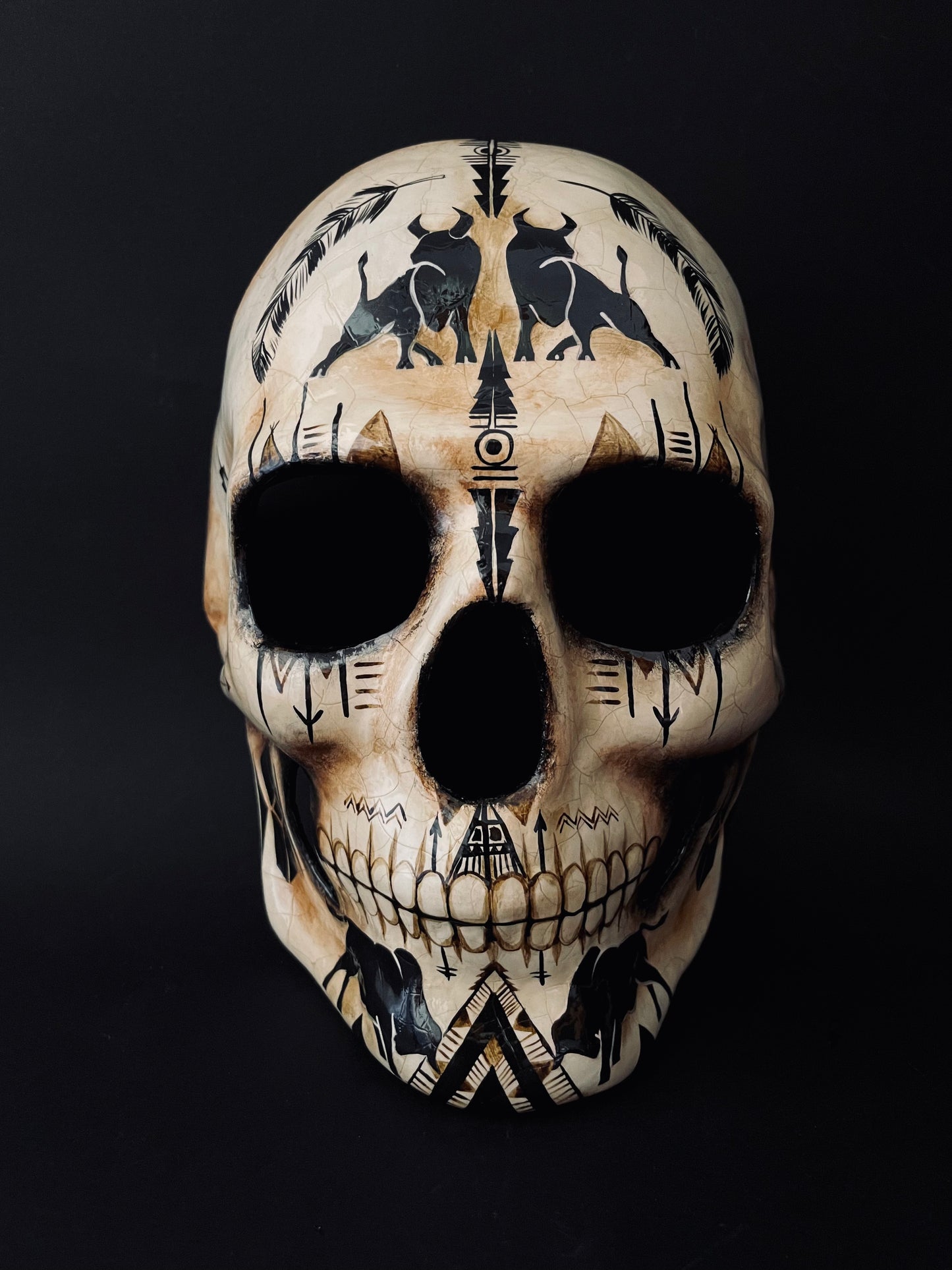 Native American skull. Skull with bulls.