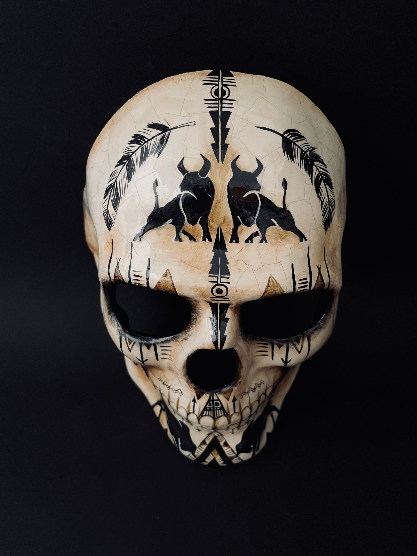 Native American skull. Skull with bulls.